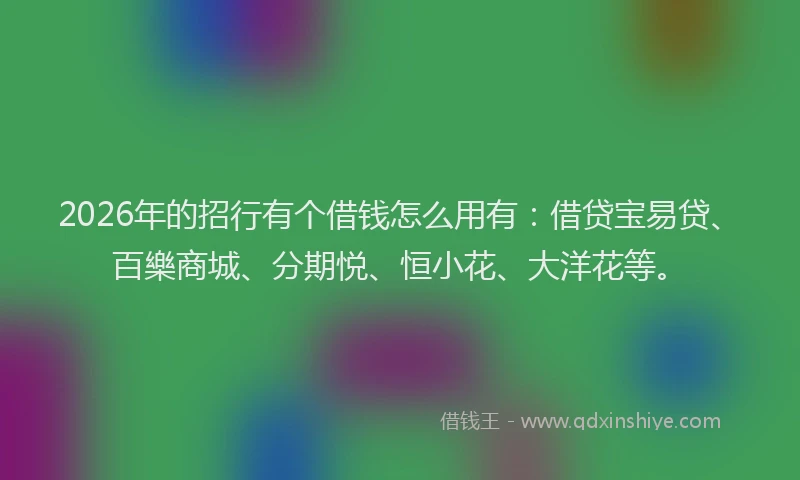 2026年的招行有个借钱怎么用有：借贷宝易贷、百樂商城、分期悦、恒小花、大洋花等。