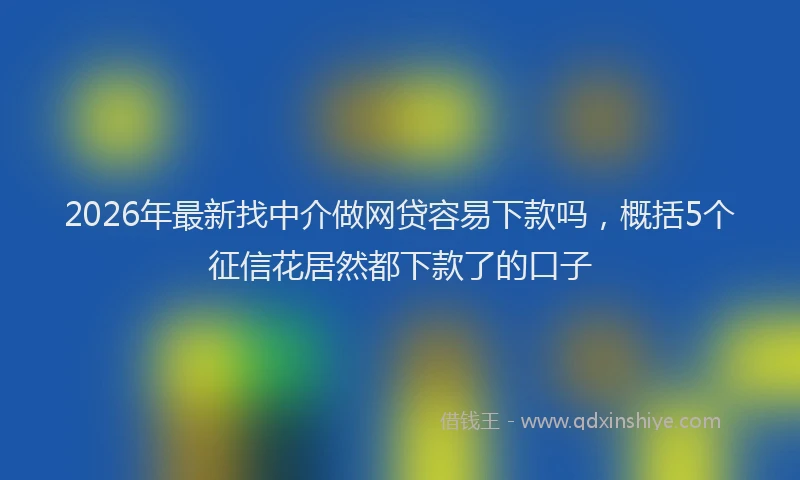2026年最新找中介做网贷容易下款吗，概括5个征信花居然都下款了的口子
