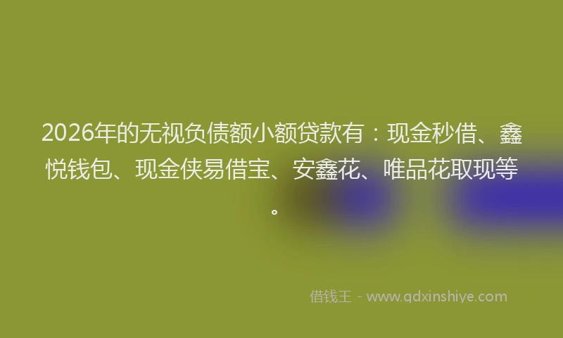 2026年的无视负债额小额贷款有：现金秒借、鑫悦钱包、现金侠易借宝、安鑫花、唯品花取现等。