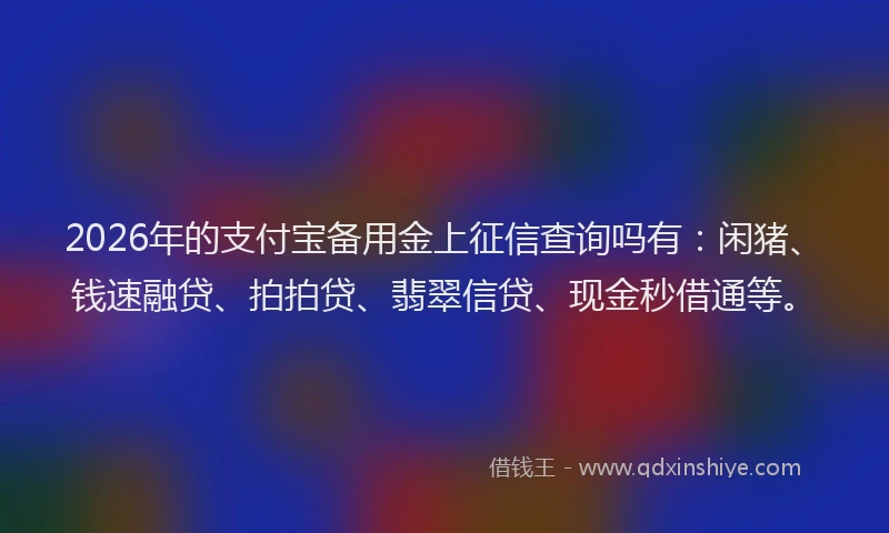 2026年的支付宝备用金上征信查询吗有：闲猪、钱速融贷、拍拍贷、翡翠信贷、现金秒借通等。
