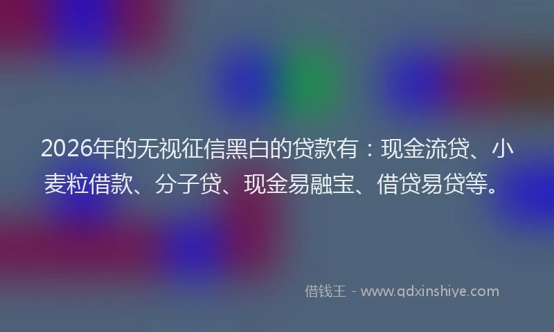 2026年的无视征信黑白的贷款有：现金流贷、小麦粒借款、分子贷、现金易融宝、借贷易贷等。