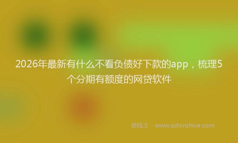 2026年最新有什么不看负债好下款的app，梳理5个分期有额度的网贷软件