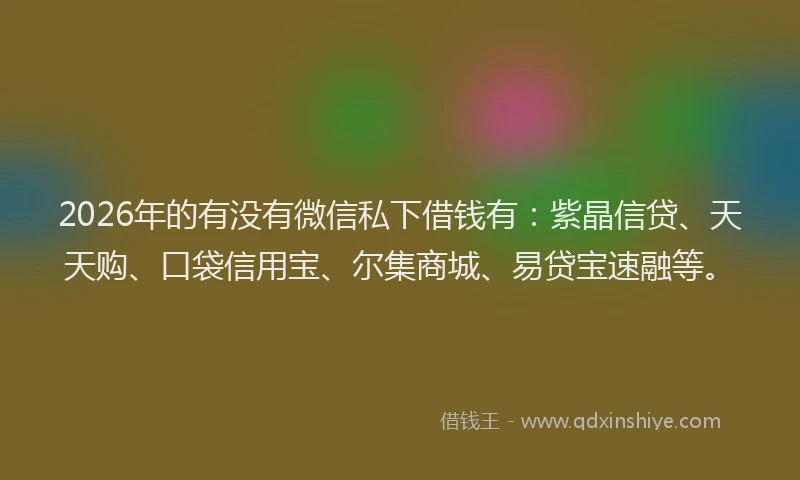 2026年的有没有微信私下借钱有：紫晶信贷、天天购、口袋信用宝、尔集商城、易贷宝速融等。