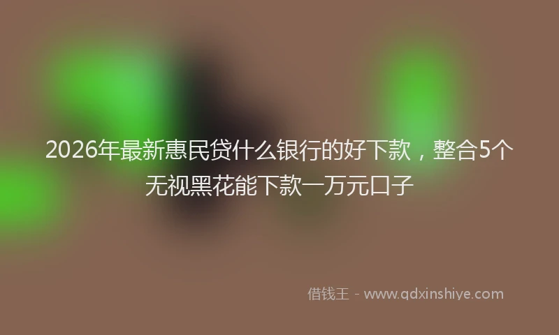 2026年最新惠民贷什么银行的好下款，整合5个无视黑花能下款一万元口子