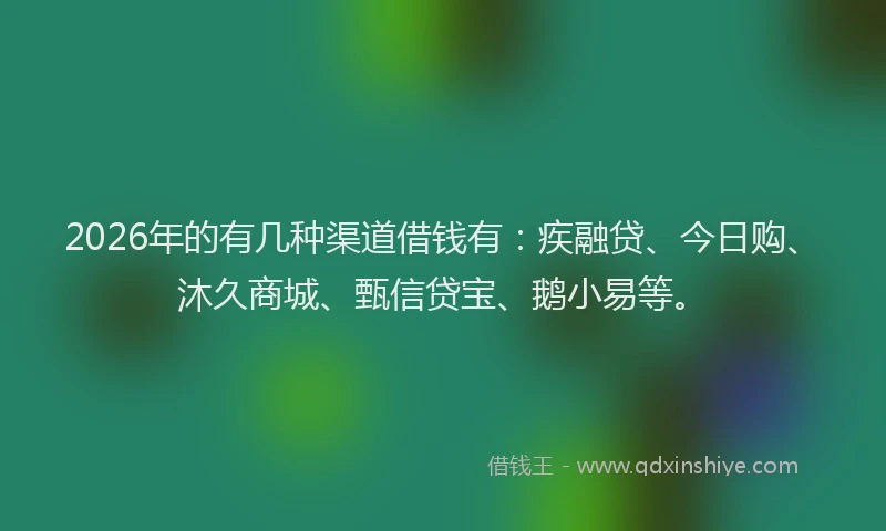 2026年的有几种渠道借钱有：疾融贷、今日购、沐久商城、甄信贷宝、鹅小易等。