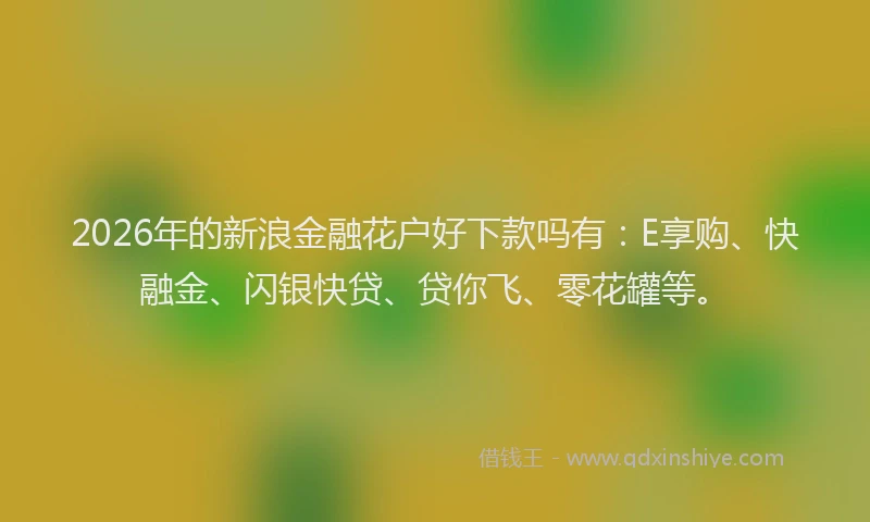 2026年的新浪金融花户好下款吗有：E享购、快融金、闪银快贷、贷你飞、零花罐等。