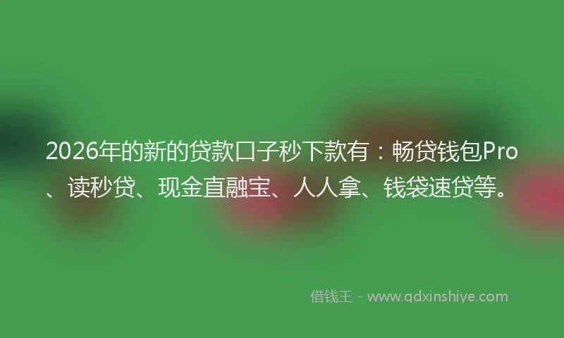 2026年的新的贷款口子秒下款有：畅贷钱包Pro、读秒贷、现金直融宝、人人拿、钱袋速贷等。