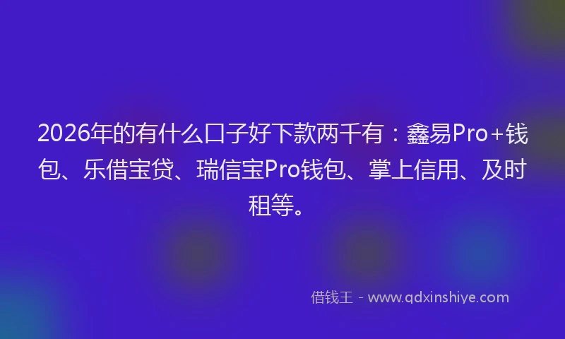 2026年的有什么口子好下款两千有：鑫易Pro+钱包、乐借宝贷、瑞信宝Pro钱包、掌上信用、及时租等。