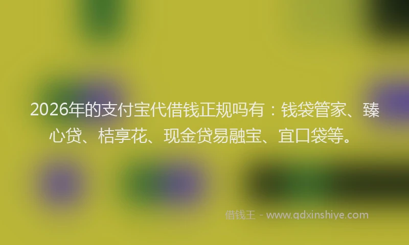 2026年的支付宝代借钱正规吗有：钱袋管家、臻心贷、桔享花、现金贷易融宝、宜口袋等。