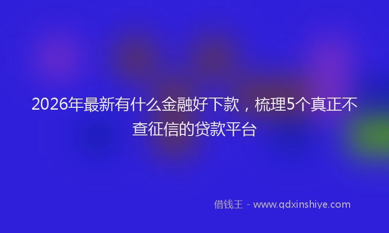 2026年最新有什么金融好下款，梳理5个真正不查征信的贷款平台