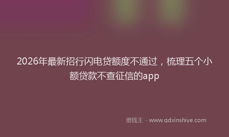 2026年最新招行闪电贷额度不通过，梳理五个小额贷款不查征信的app