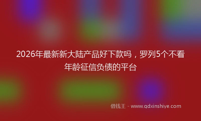 2026年最新新大陆产品好下款吗，罗列5个不看年龄征信负债的平台