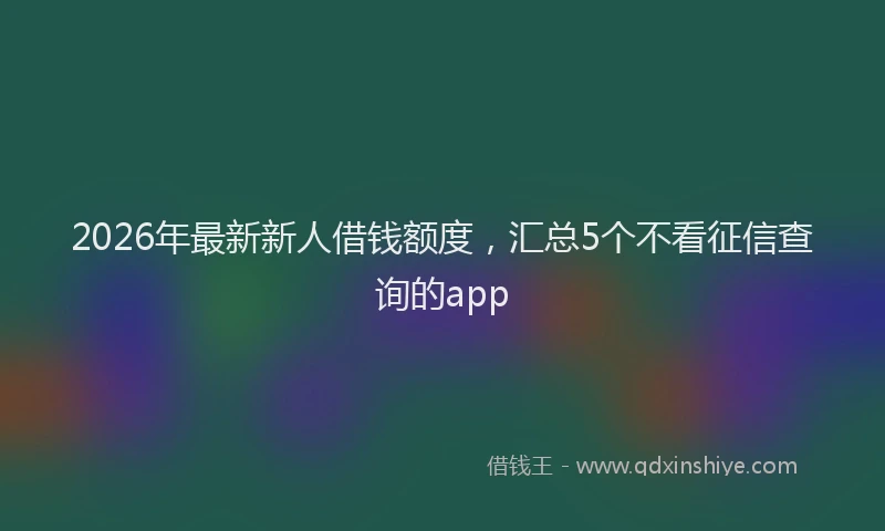 2026年最新新人借钱额度，汇总5个不看征信查询的app