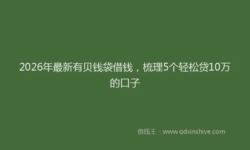 2026年最新有贝钱袋借钱，梳理5个轻松贷10万的口子