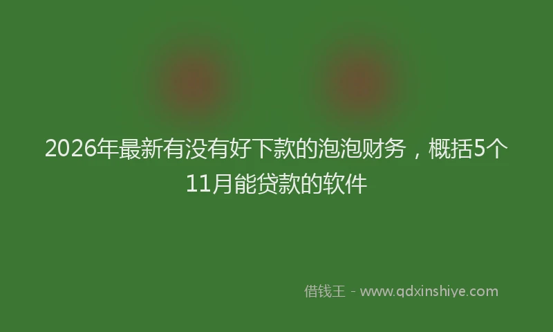 2026年最新有没有好下款的泡泡财务，概括5个11月能贷款的软件