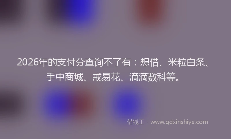 2026年的支付分查询不了有：想借、米粒白条、手中商城、戒易花、滴滴数科等。