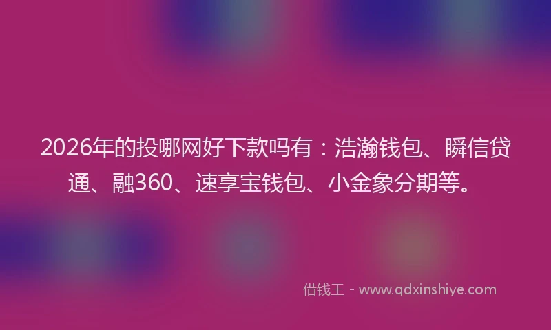 2026年的投哪网好下款吗有：浩瀚钱包、瞬信贷通、融360、速享宝钱包、小金象分期等。