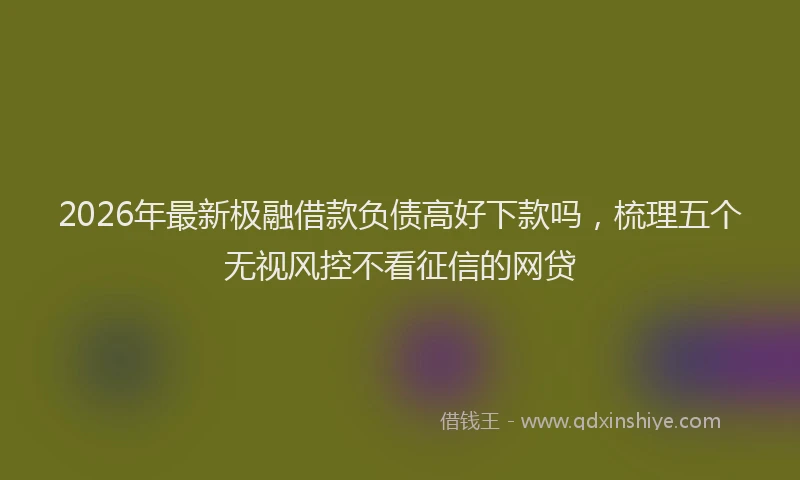 2026年最新极融借款负债高好下款吗，梳理五个无视风控不看征信的网贷