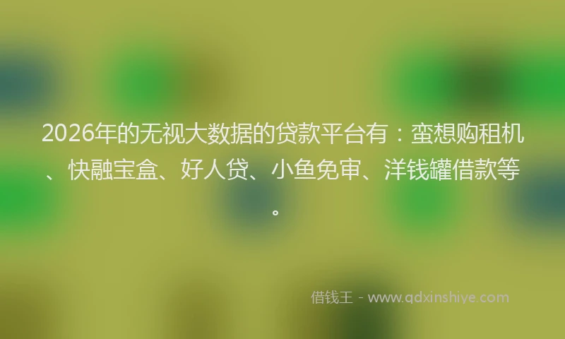 2026年的无视大数据的贷款平台有：蛮想购租机、快融宝盒、好人贷、小鱼免审、洋钱罐借款等。
