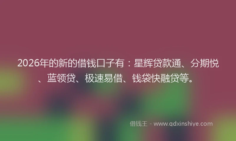 2026年的新的借钱口子有：星辉贷款通、分期悦、蓝领贷、极速易借、钱袋快融贷等。