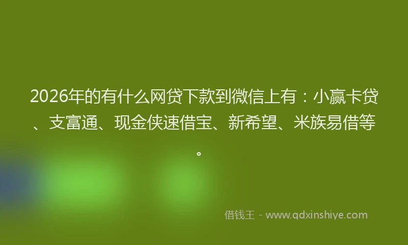 2026年的有什么网贷下款到微信上有：小赢卡贷、支富通、现金侠速借宝、新希望、米族易借等。