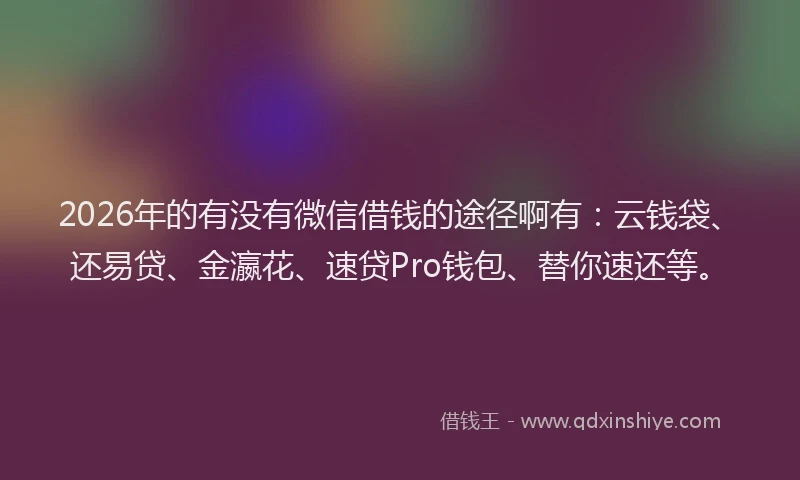 2026年的有没有微信借钱的途径啊有：云钱袋、还易贷、金瀛花、速贷Pro钱包、替你速还等。