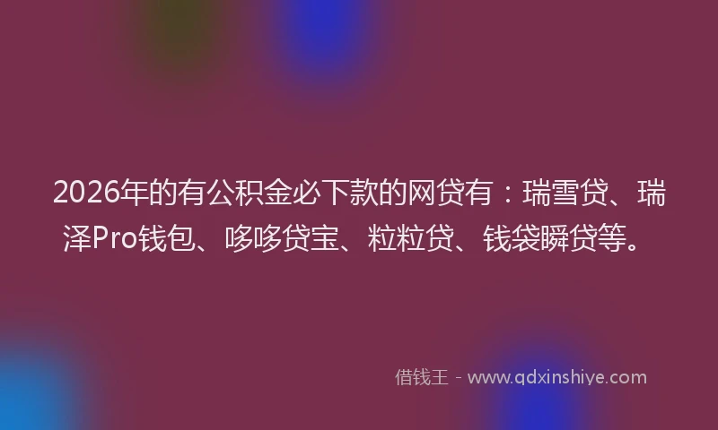 2026年的有公积金必下款的网贷有：瑞雪贷、瑞泽Pro钱包、哆哆贷宝、粒粒贷、钱袋瞬贷等。