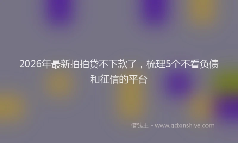 2026年最新拍拍贷不下款了，梳理5个不看负债和征信的平台