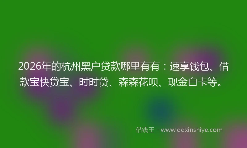 2026年的杭州黑户贷款哪里有有：速享钱包、借款宝快贷宝、时时贷、森森花呗、现金白卡等。