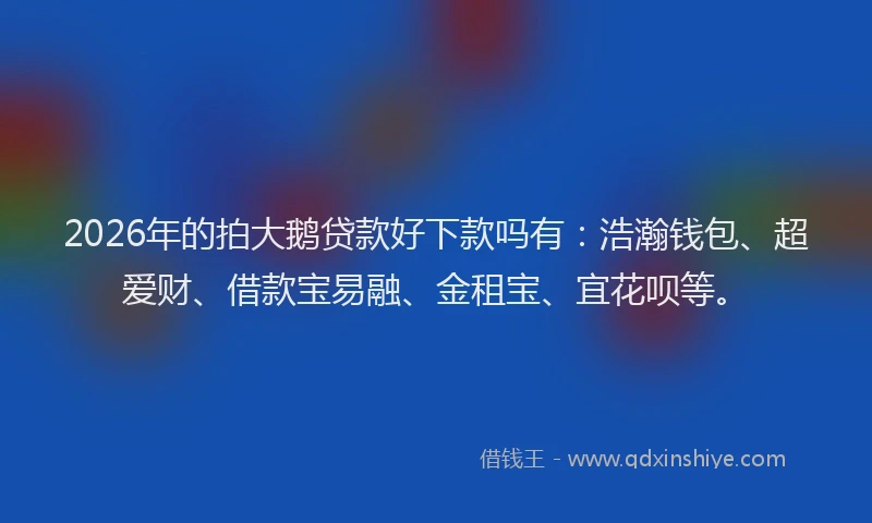 2026年的拍大鹅贷款好下款吗有：浩瀚钱包、超爱财、借款宝易融、金租宝、宜花呗等。