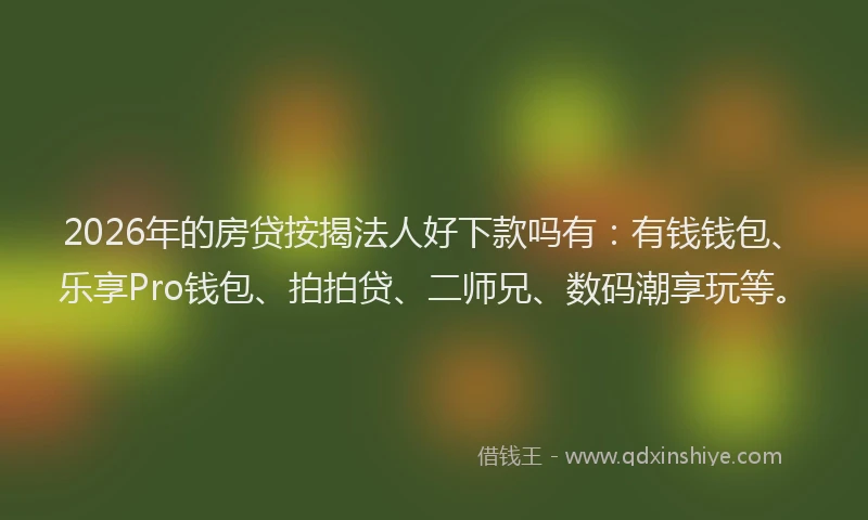 2026年的房贷按揭法人好下款吗有：有钱钱包、乐享Pro钱包、拍拍贷、二师兄、数码潮享玩等。
