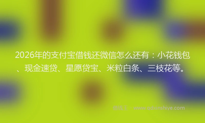 2026年的支付宝借钱还微信怎么还有：小花钱包、现金速贷、星愿贷宝、米粒白条、三枝花等。