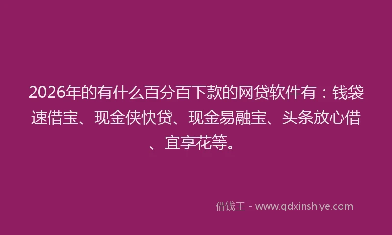 2026年的有什么百分百下款的网贷软件有：钱袋速借宝、现金侠快贷、现金易融宝、头条放心借、宜享花等。