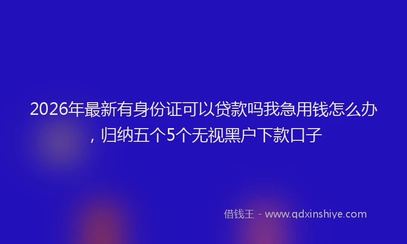 2026年最新有身份证可以贷款吗我急用钱怎么办，归纳五个5个无视黑户下款口子