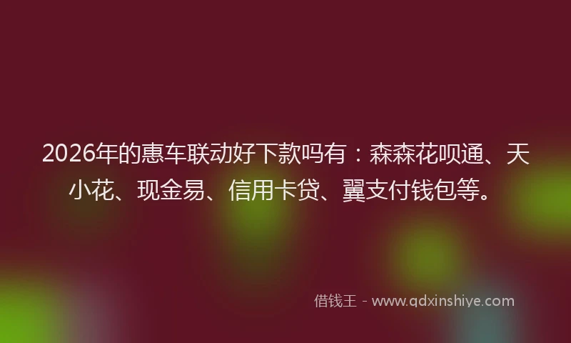 2026年的惠车联动好下款吗有：森森花呗通、天小花、现金易、信用卡贷、翼支付钱包等。