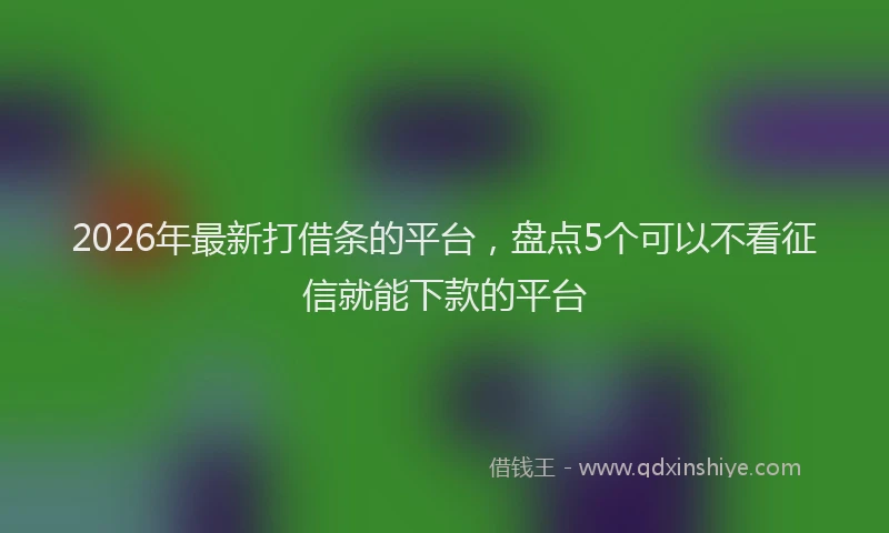 2026年最新打借条的平台，盘点5个可以不看征信就能下款的平台