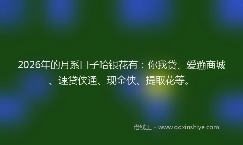 2026年的月系口子哈银花有：你我贷、爱蹦商城、速贷侠通、现金侠、提取花等。