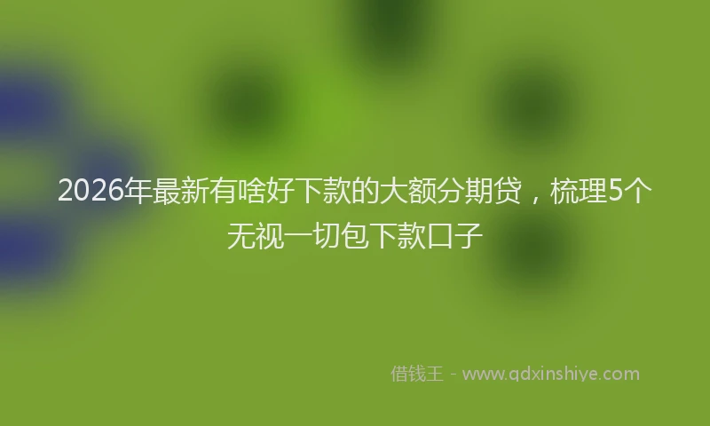 2026年最新有啥好下款的大额分期贷，梳理5个无视一切包下款口子