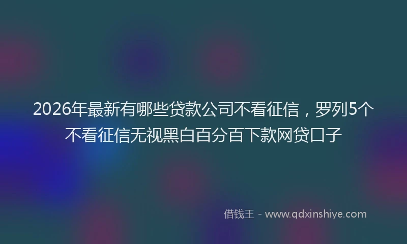 2026年最新有哪些贷款公司不看征信，罗列5个不看征信无视黑白百分百下款网贷口子