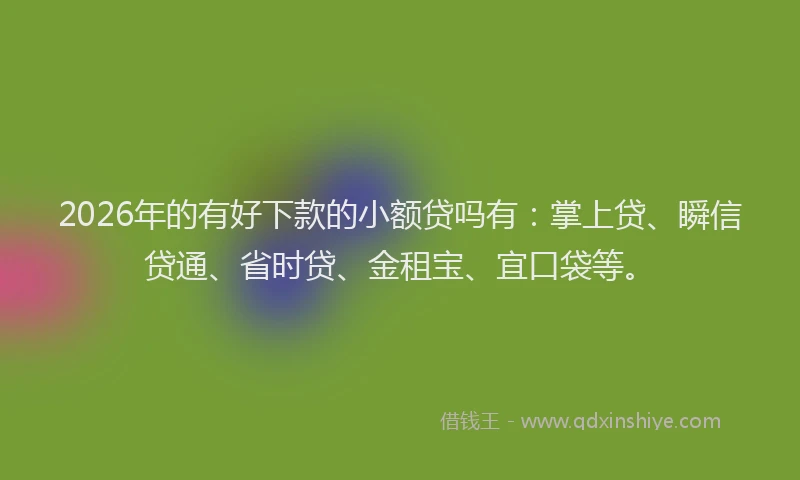 2026年的有好下款的小额贷吗有：掌上贷、瞬信贷通、省时贷、金租宝、宜口袋等。