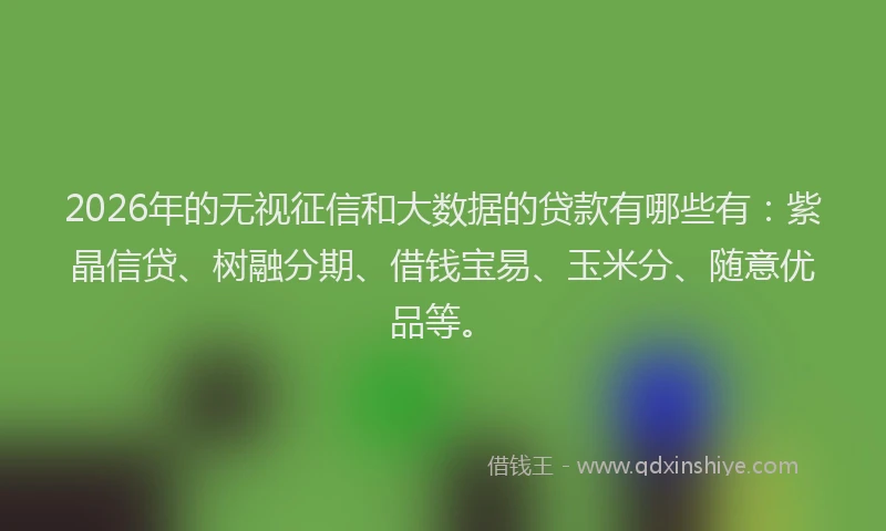 2026年的无视征信和大数据的贷款有哪些有：紫晶信贷、树融分期、借钱宝易、玉米分、随意优品等。