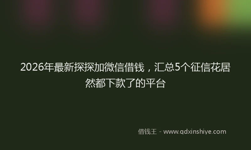 2026年最新探探加微信借钱，汇总5个征信花居然都下款了的平台