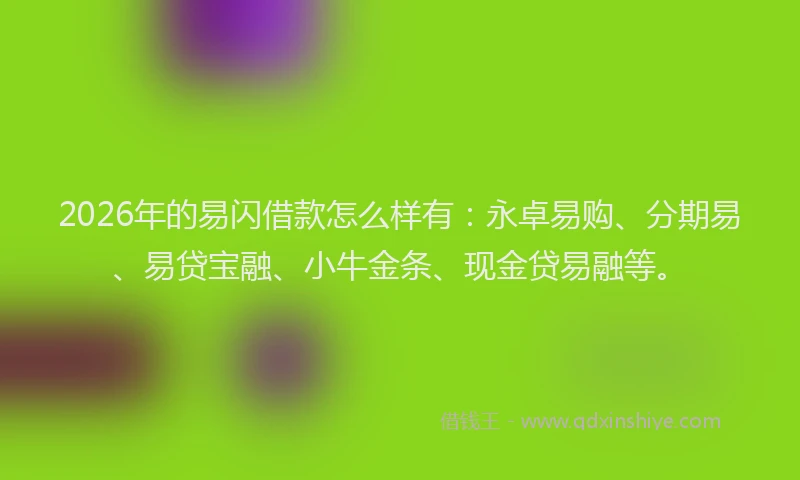 2026年的易闪借款怎么样有：永卓易购、分期易、易贷宝融、小牛金条、现金贷易融等。