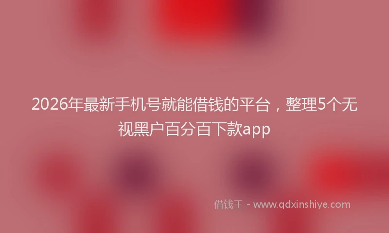 2026年最新手机号就能借钱的平台，整理5个无视黑户百分百下款app