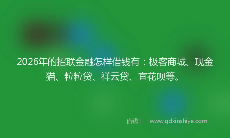 2026年的招联金融怎样借钱有：极客商城、现金猫、粒粒贷、祥云贷、宜花呗等。