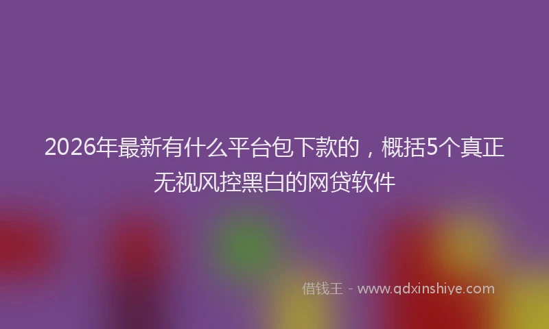 2026年最新有什么平台包下款的，概括5个真正无视风控黑白的网贷软件