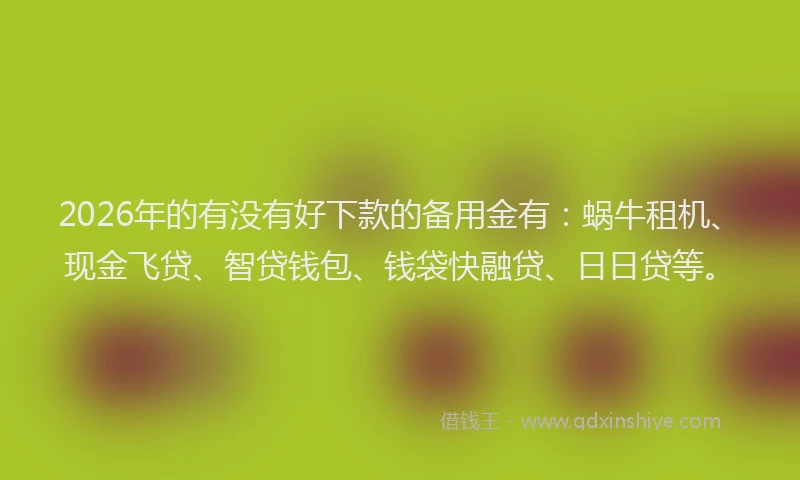2026年的有没有好下款的备用金有：蜗牛租机、现金飞贷、智贷钱包、钱袋快融贷、日日贷等。