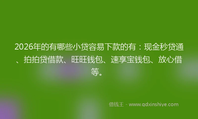 2026年的有哪些小贷容易下款的有：现金秒贷通、拍拍贷借款、旺旺钱包、速享宝钱包、放心借等。