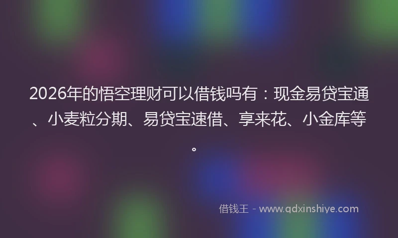 2026年的悟空理财可以借钱吗有：现金易贷宝通、小麦粒分期、易贷宝速借、享来花、小金库等。