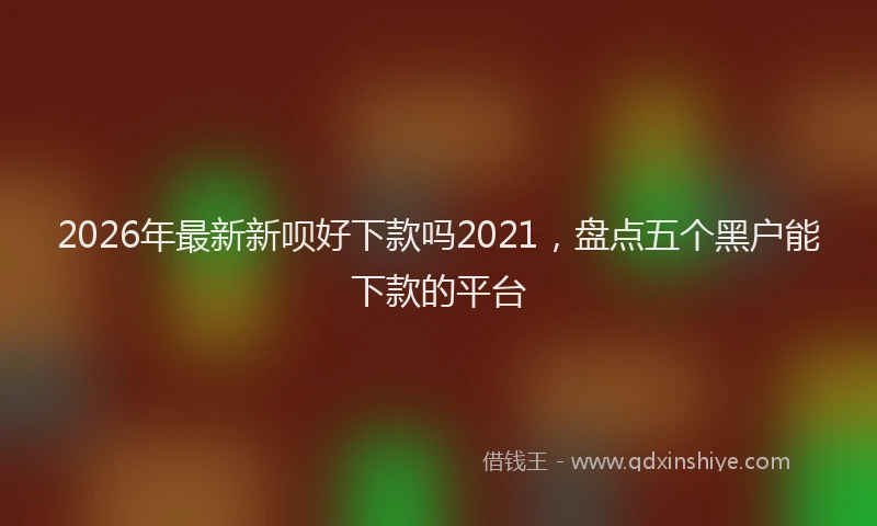2026年最新新呗好下款吗2021，盘点五个黑户能下款的平台